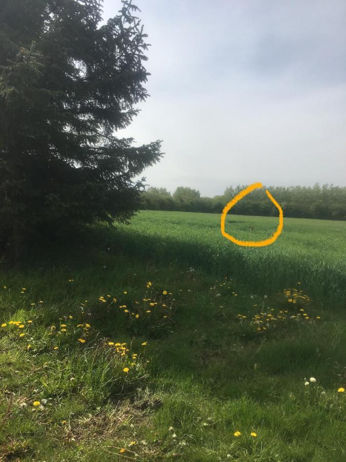 Jaegergard Villa Skærbæk Kültér fotó